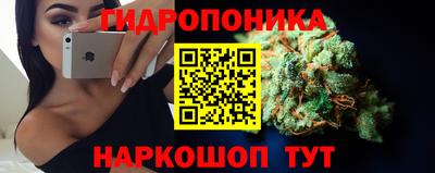 каннабис Будённовск