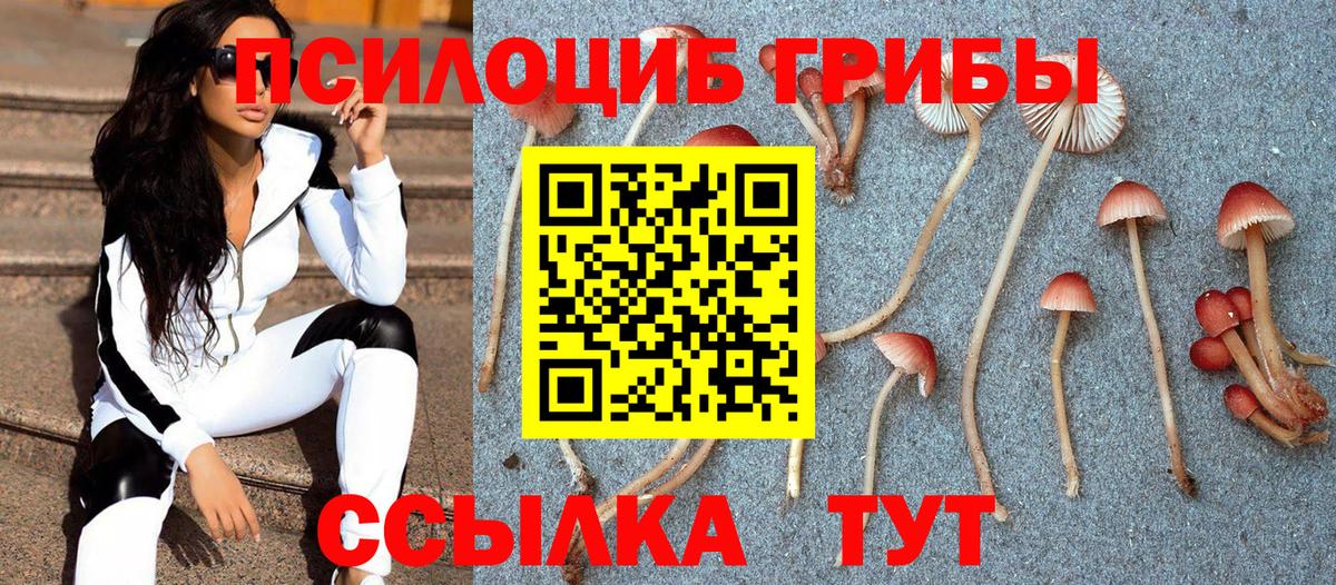 Псилоцибиновые грибы Psilocybine cubensis  Псилоцибиновые грибы Psilocybine cubensis  Сунжа  цены   Вход с VPN 