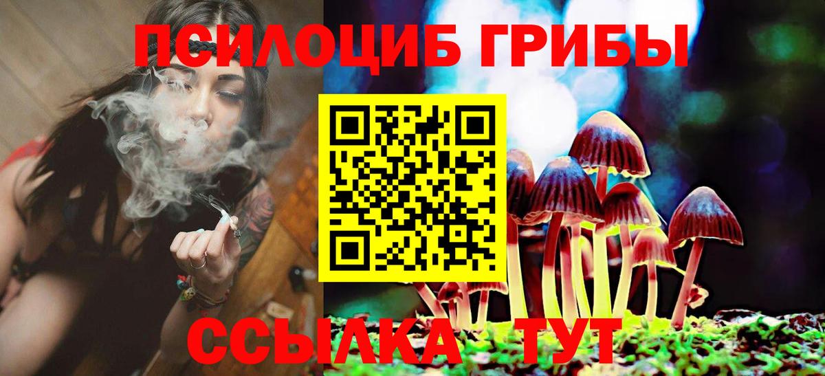 Псилоцибиновые грибы Psilocybe Сунжа